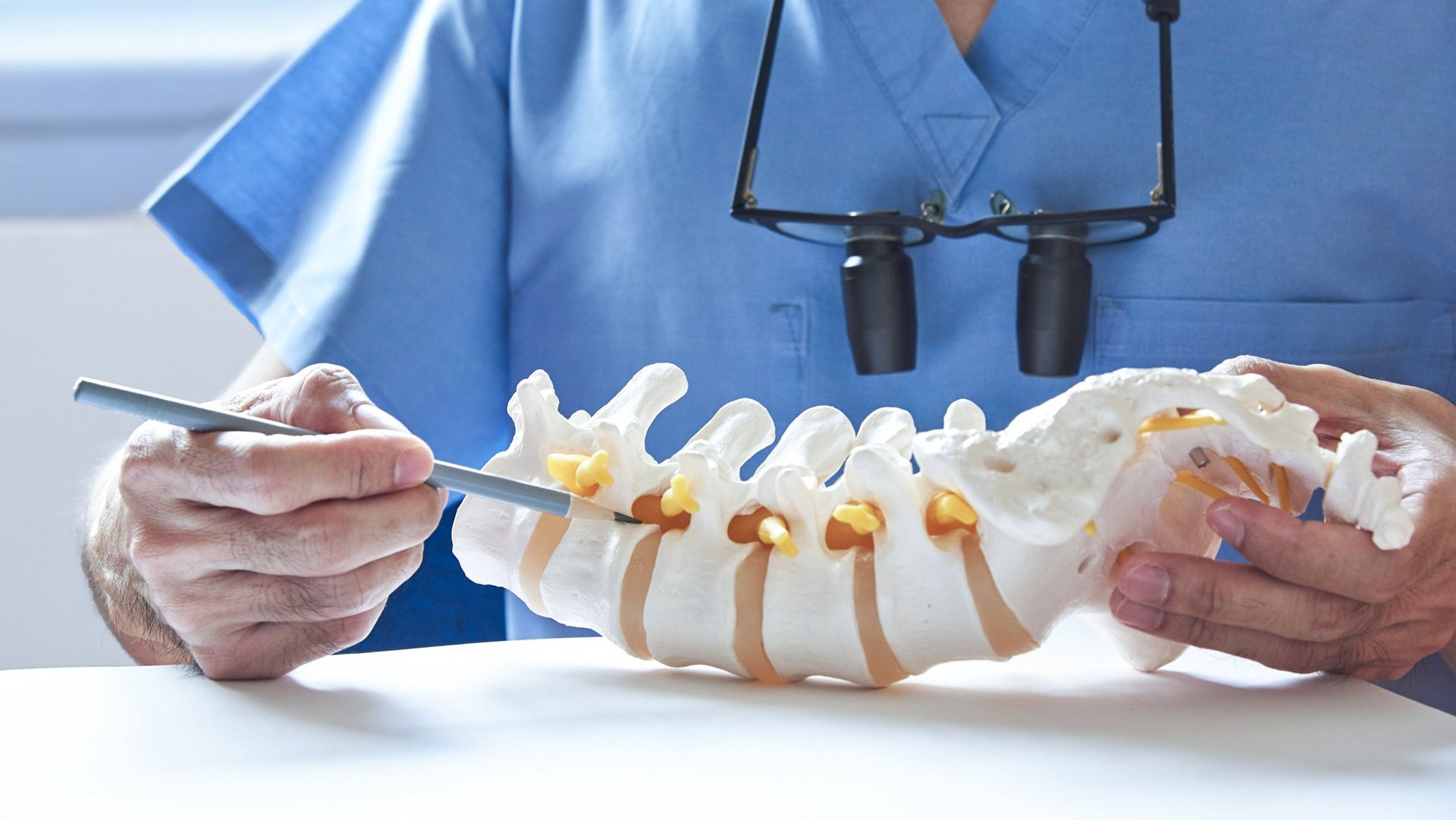 Surgeon's hands pointing at a spinal model to explain an intervertebral disc