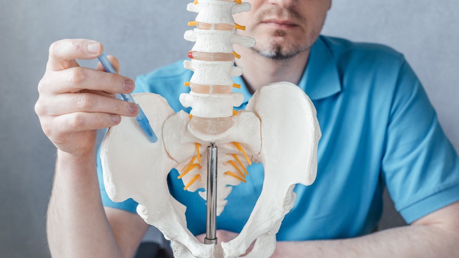 Doctor with spine and pelvis model – sacroiliac joint denervation and pain pathway explanation