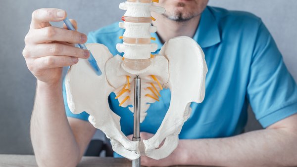 riwospine-denervierung-isg-schmerztherapie-anatomiemodell.png Arzt mit Becken- und Wirbelsäulenmodell – Darstellung der Denervierung beim Iliosakralgelenk