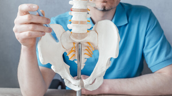 Doctor with spine and pelvis model – sacroiliac joint denervation and pain pathway explanation