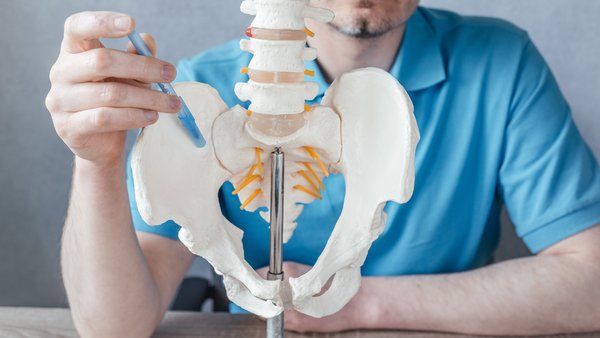 riwospine-denervierung-isg-schmerztherapie-anatomiemodell.png Arzt mit Becken- und Wirbelsäulenmodell – Darstellung der Denervierung beim Iliosakralgelenk